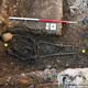Image for article titled DNA from Canadian family confirms identity of King Richard III's remains